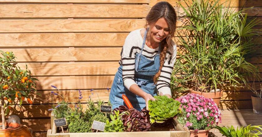¡Tips de jardinería al día para una terapia anti estrés!